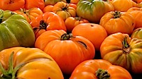 IMG_0259 - Version 2.jpg