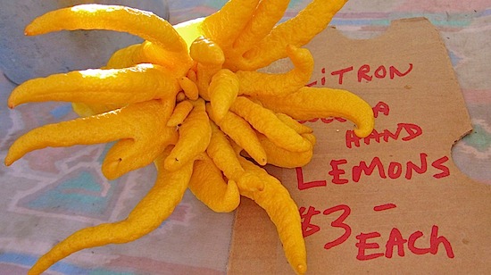 The most unique lemon I have ever seen-spotted at Solana Beach, Farmers Market